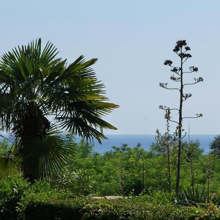 Sea Explorer House Novigrad Istria Eksteriør billede