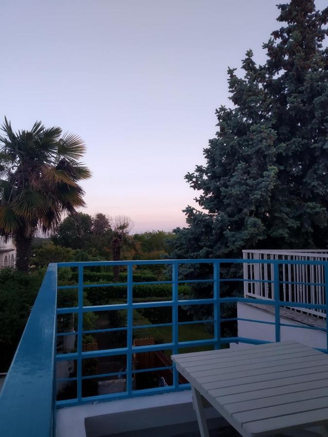 Sea Explorer House Novigrad Istria Eksteriør billede